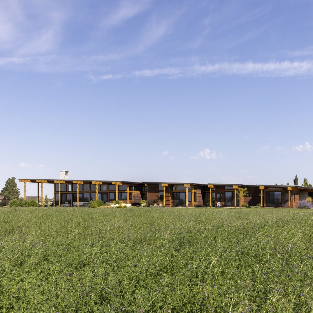 Images © Paul Lavold