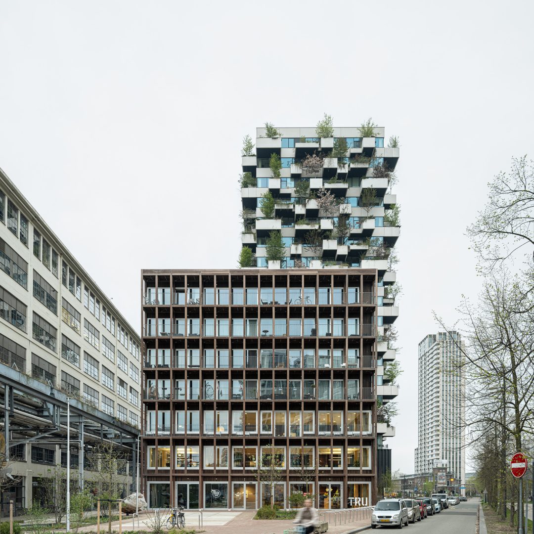 Image © Jeroen Verrecht