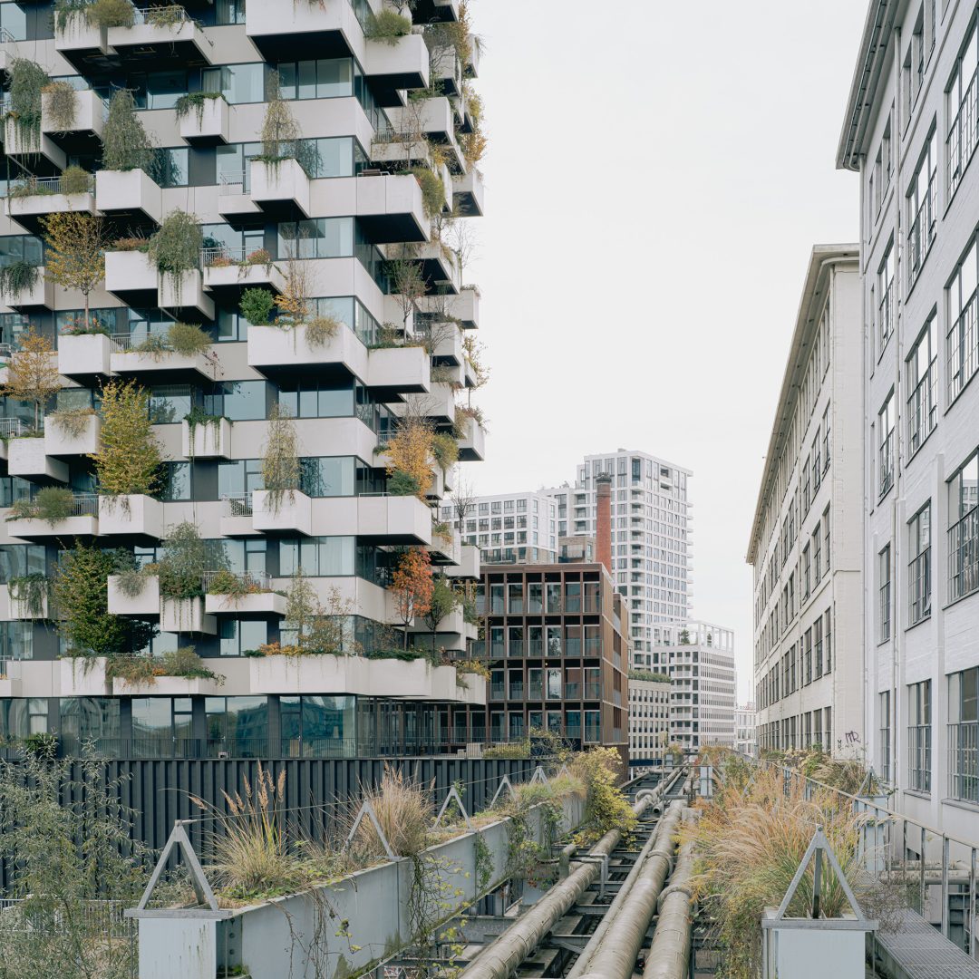 Image © Jeroen Verrecht
