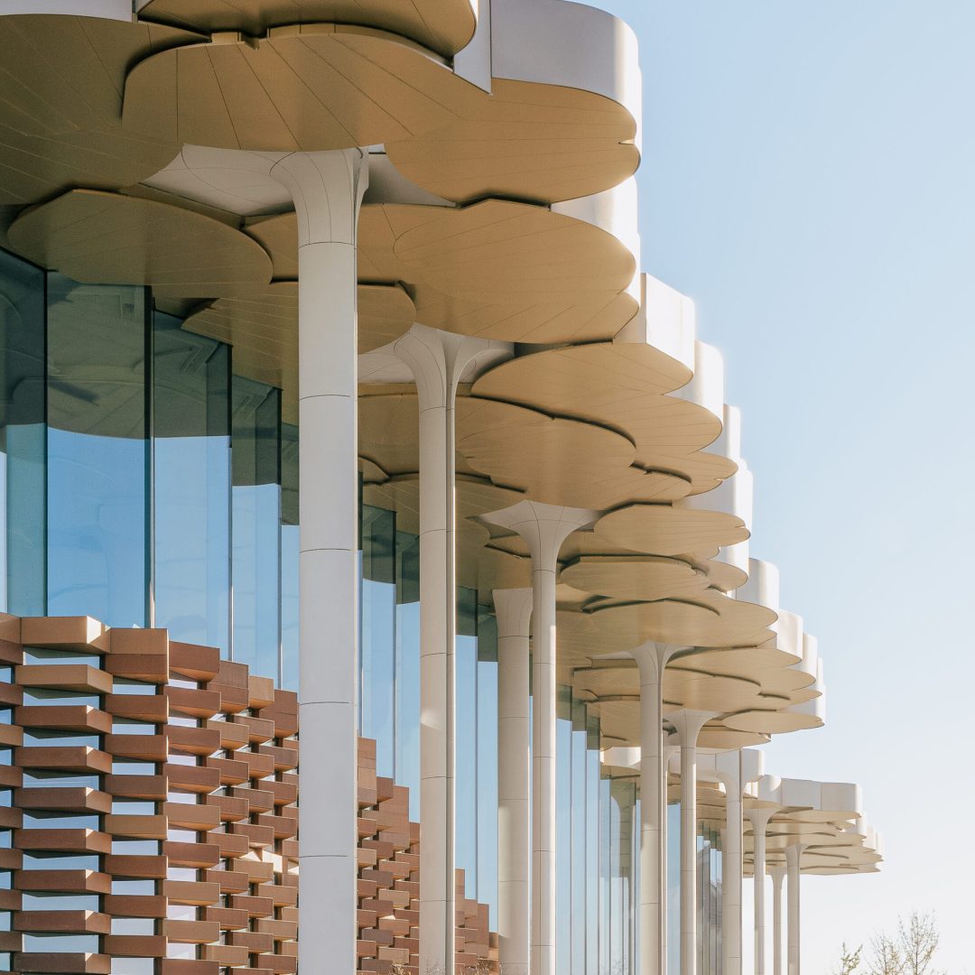 Images © Yumeng Zhu