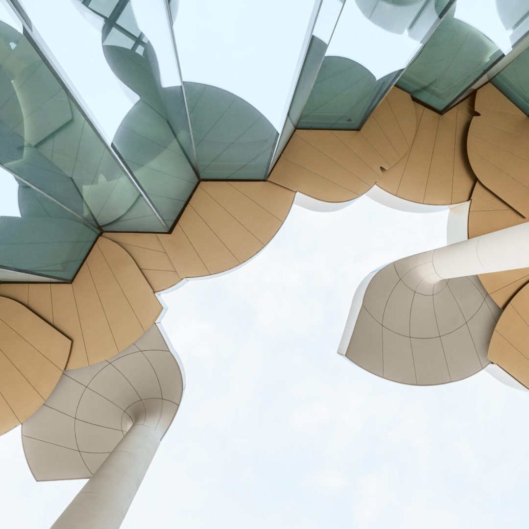 Images © Yumeng Zhu