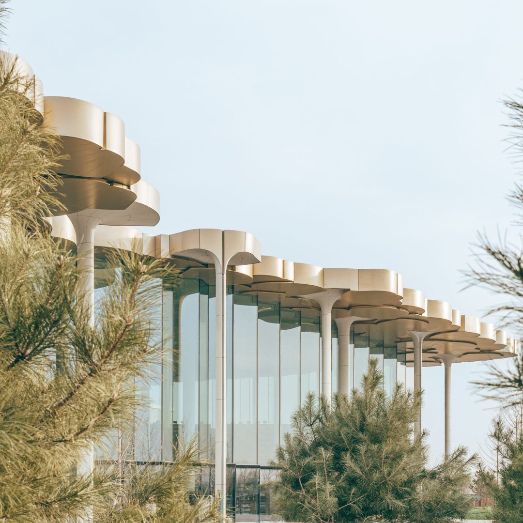 Images © Yumeng Zhu