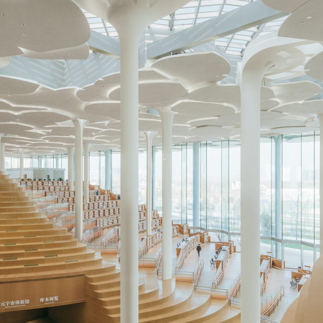 Images © Yumeng Zhu