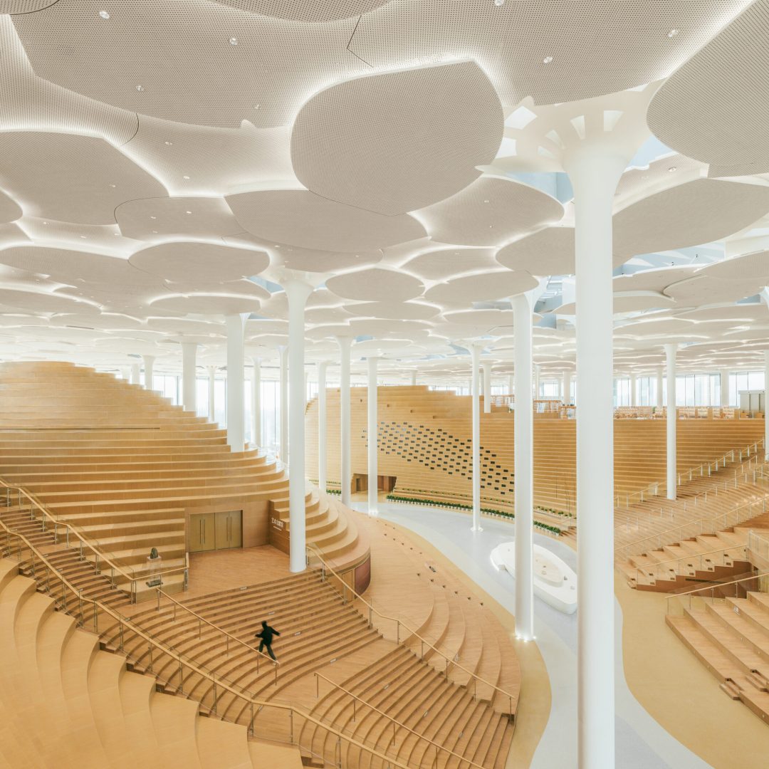 Images © Yumeng Zhu