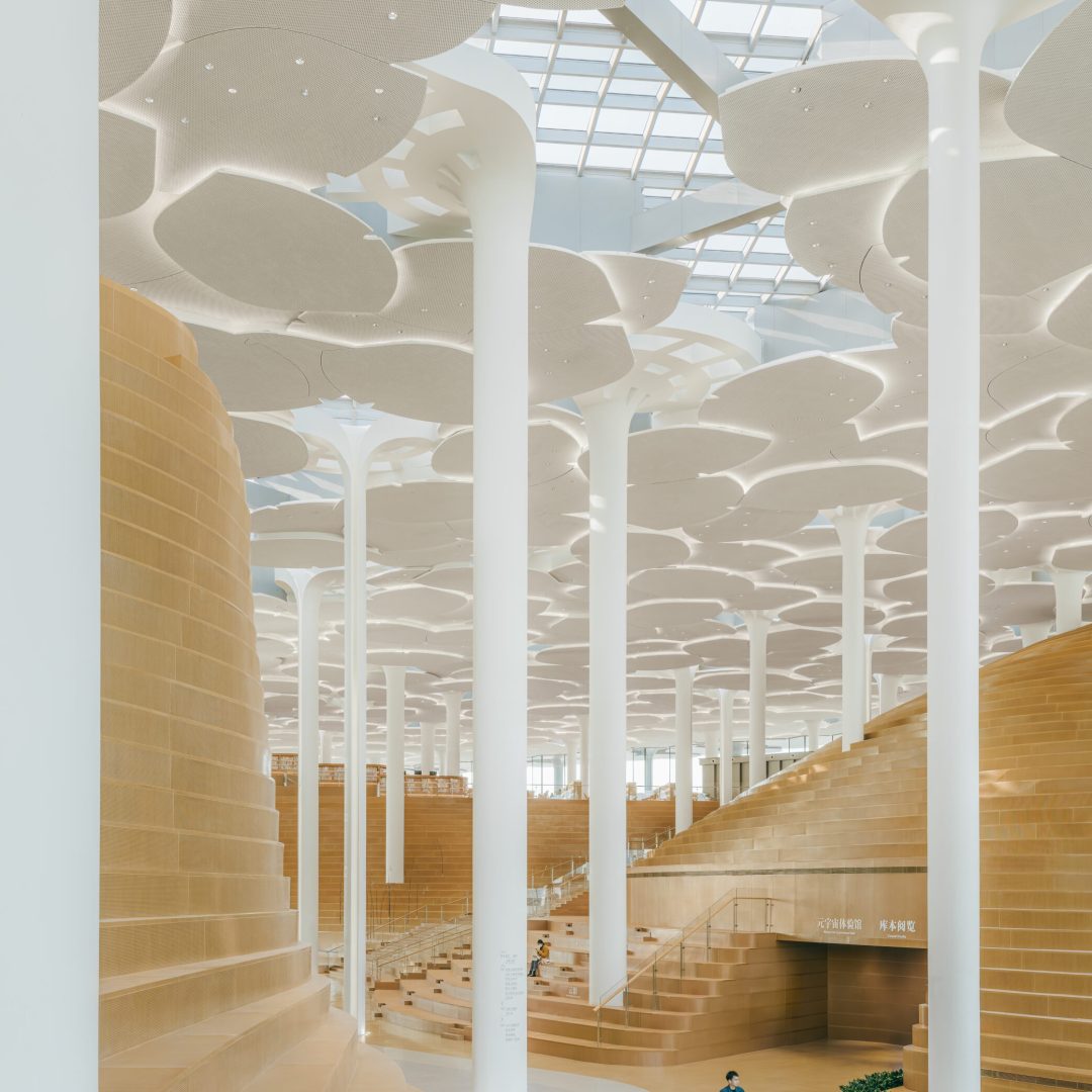 Images © Yumeng Zhu