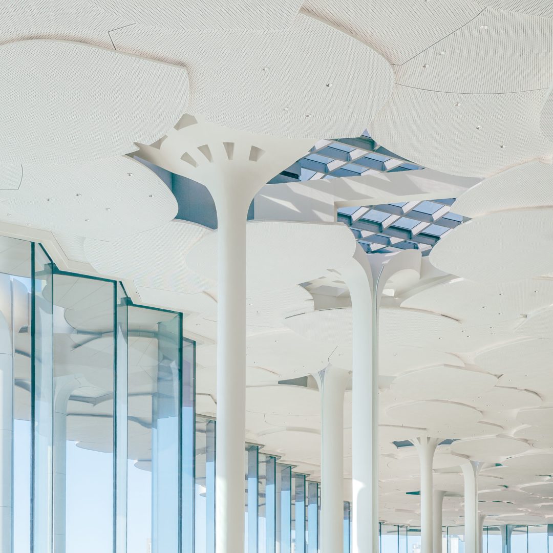 Images © Yumeng Zhu