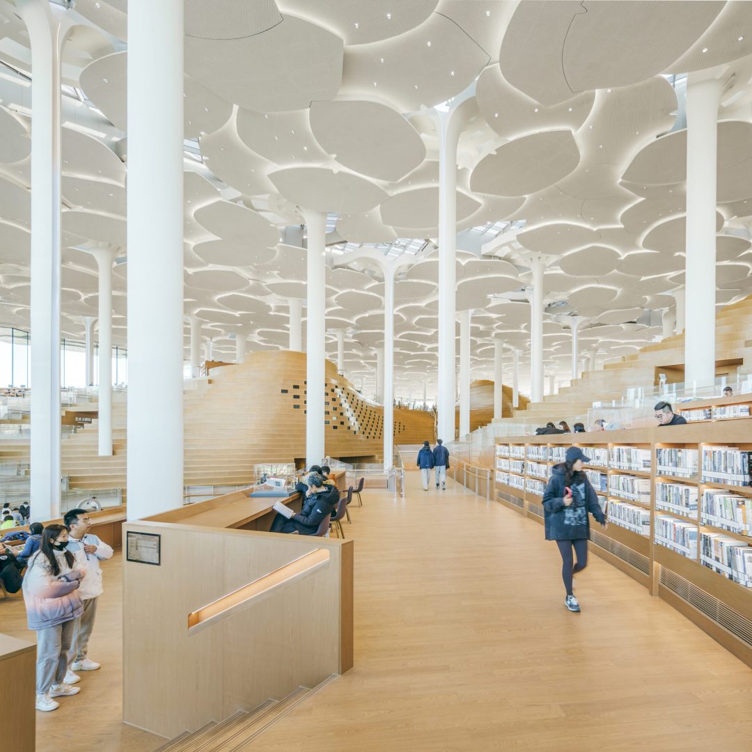 Images © Yumeng Zhu