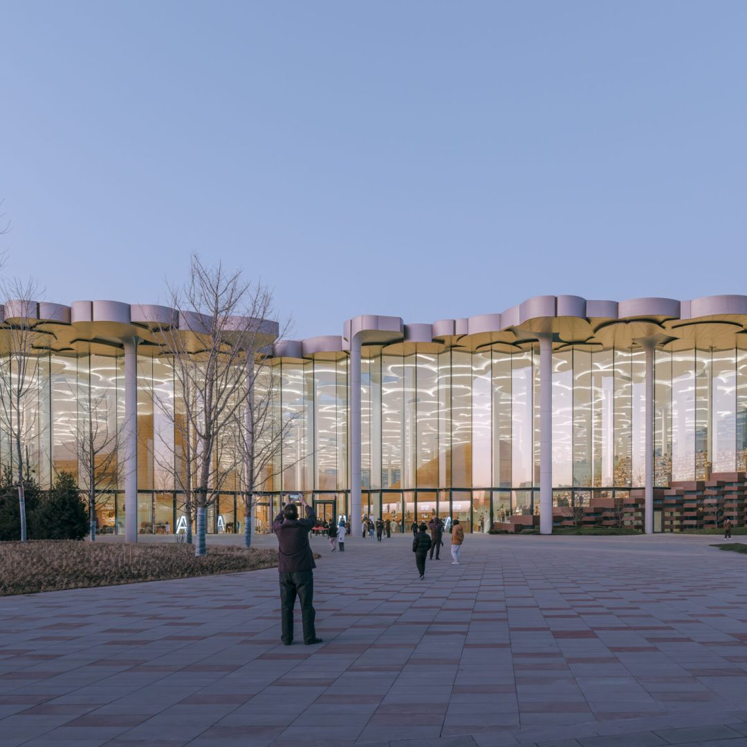 Images © Yumeng Zhu