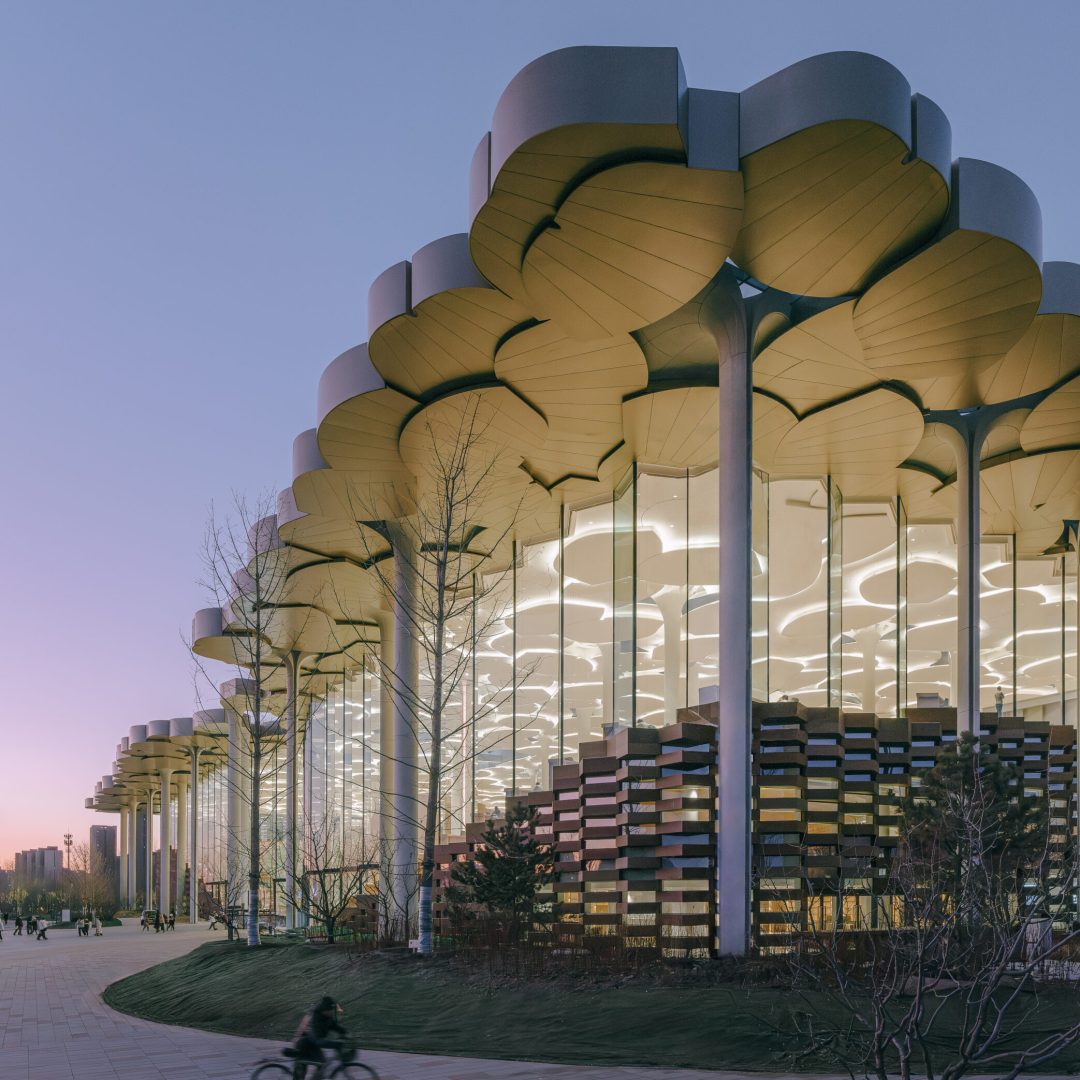 Images © Yumeng Zhu