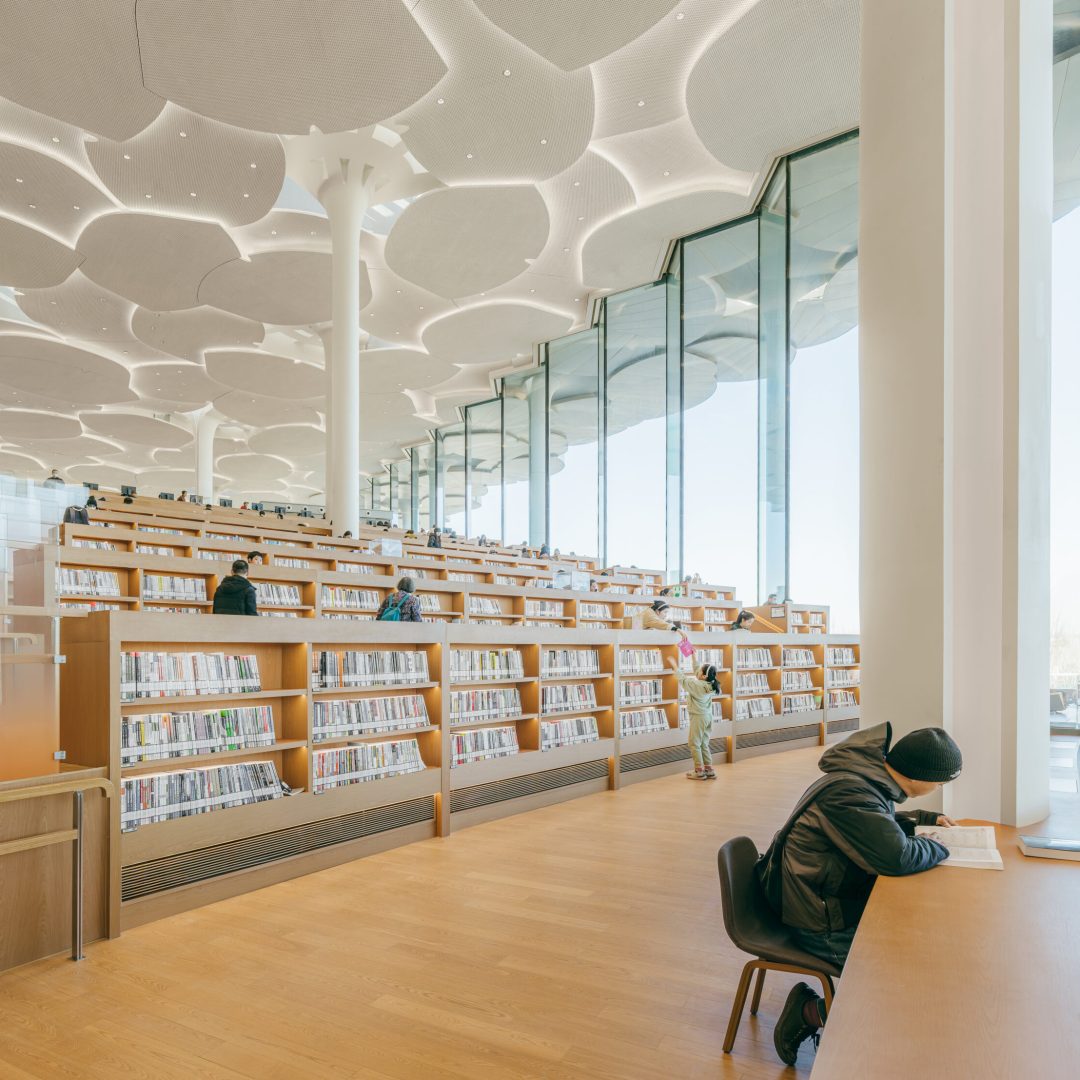 Images © Yumeng Zhu