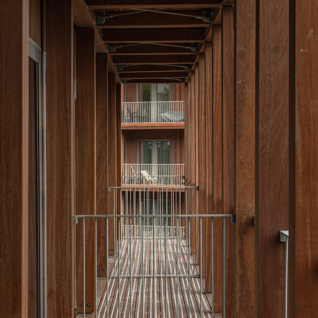 Image © Sebastian Van Damme