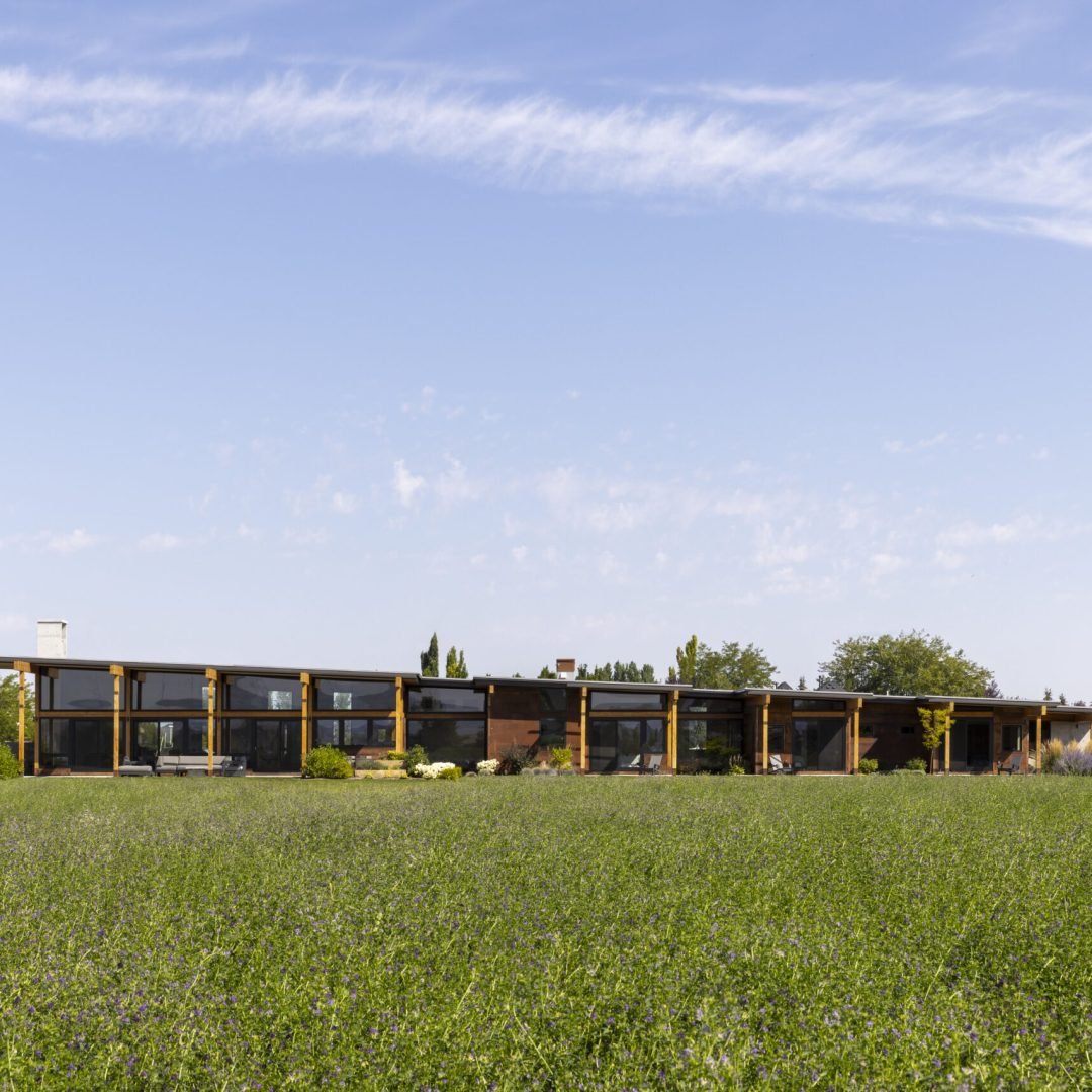 Images © Paul Lavold