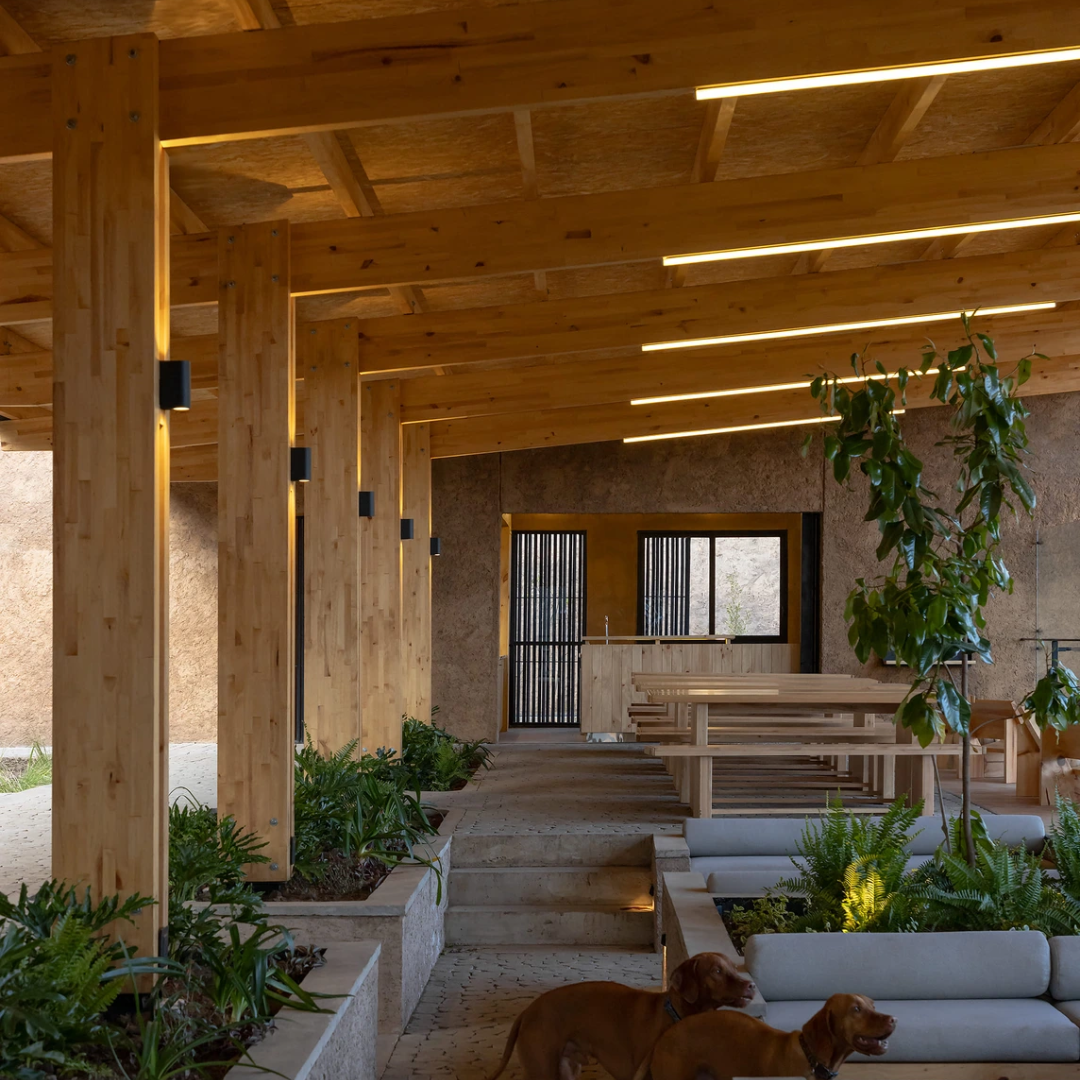 Images © JAG Studio