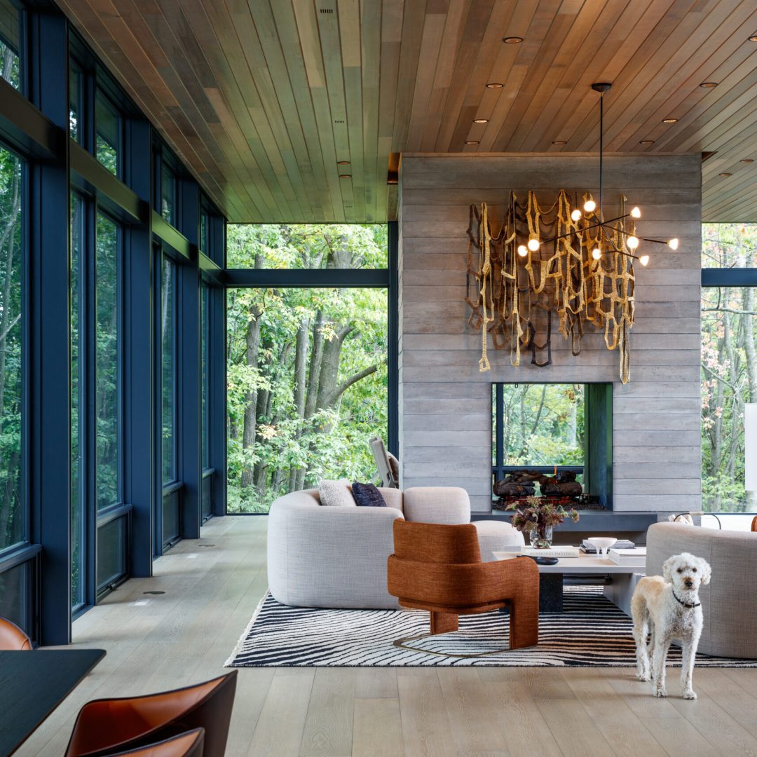 64d365fe-91f6-4319-95ee-a03a060f44ca-LUCIDHIDDENLAKE-EricDeWitt