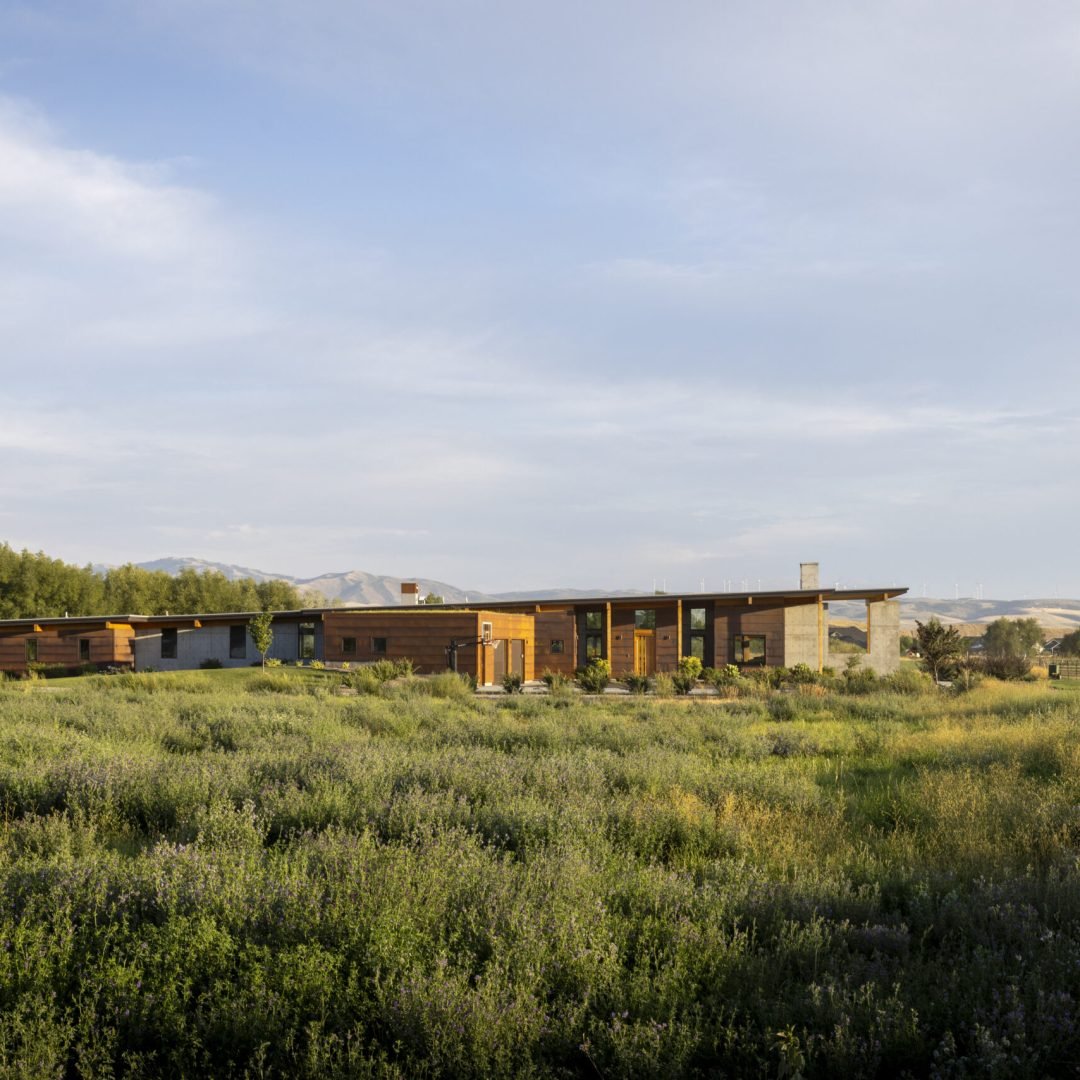 Images © Paul Lavold