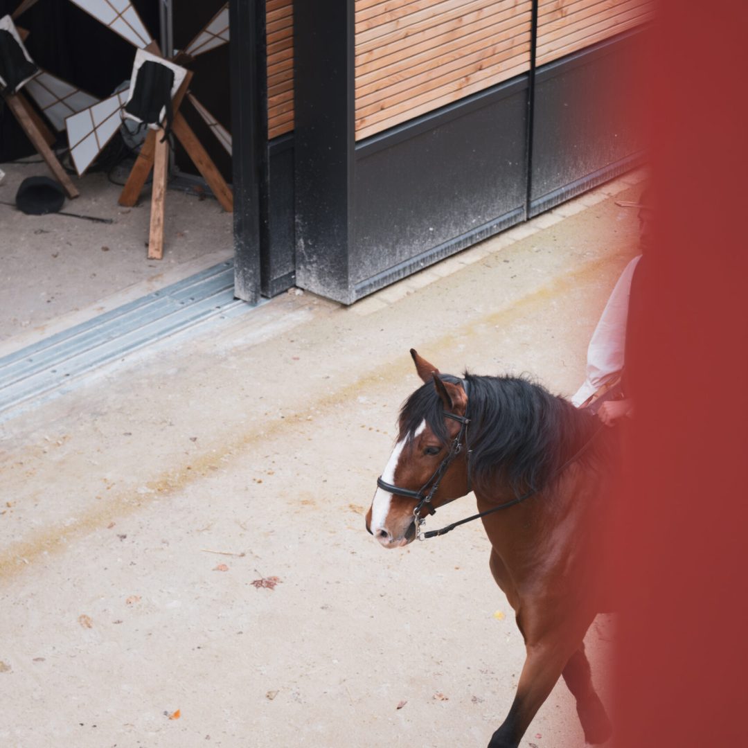 Images © Yon de Poncins