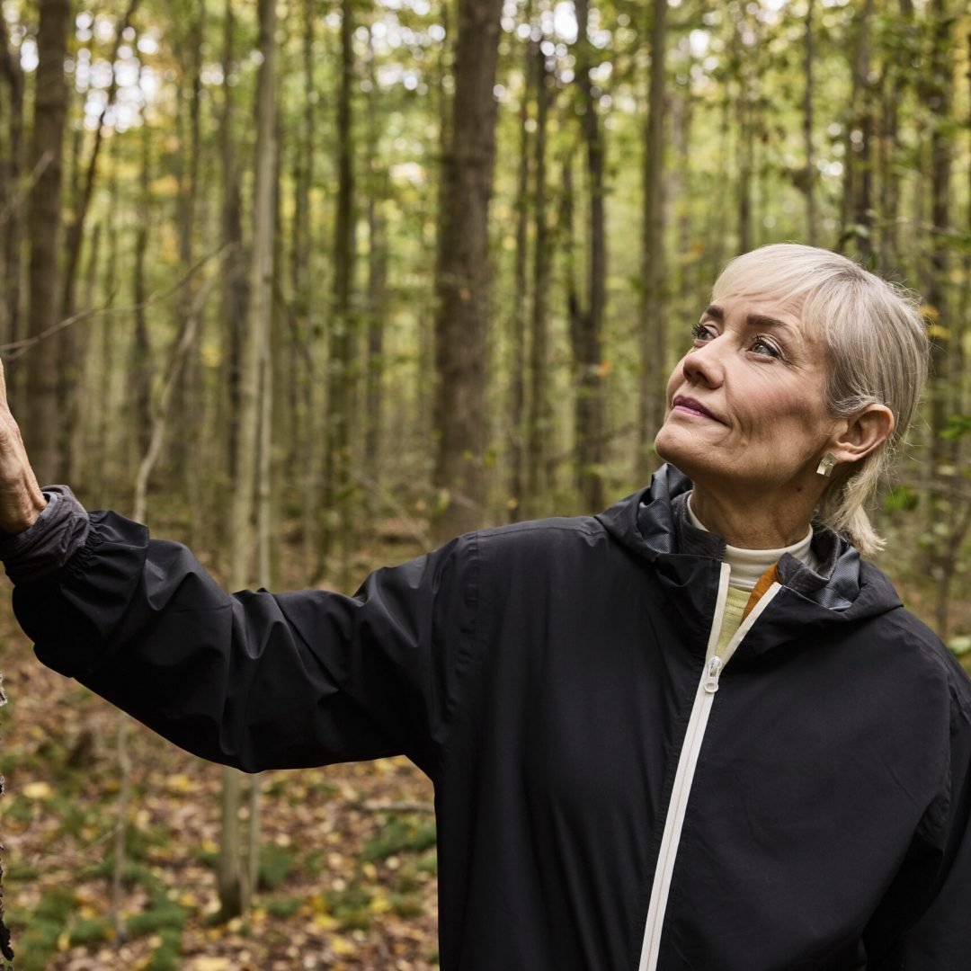 Image © Petr Krejčí