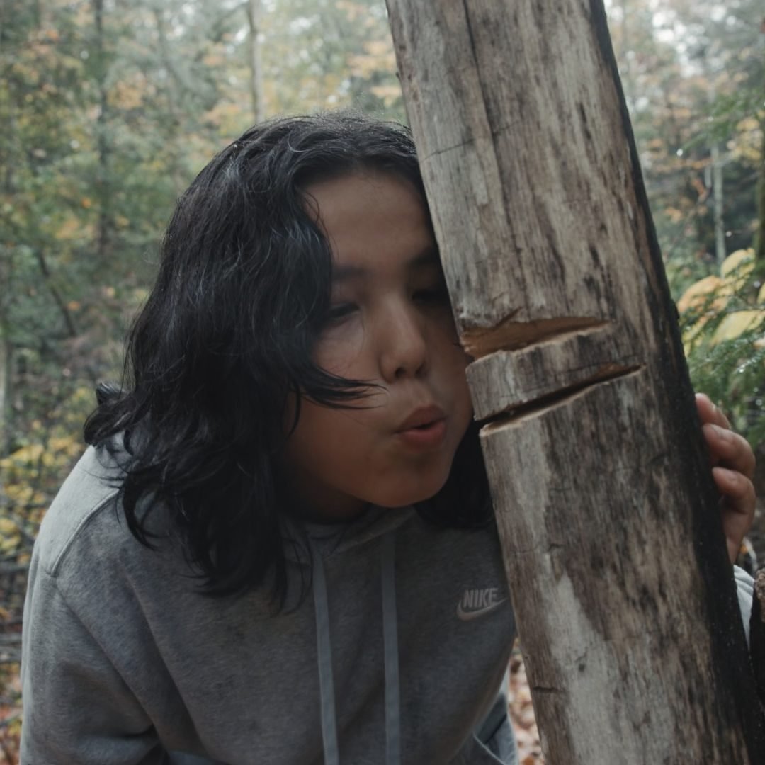 Image © Petr Krejčí