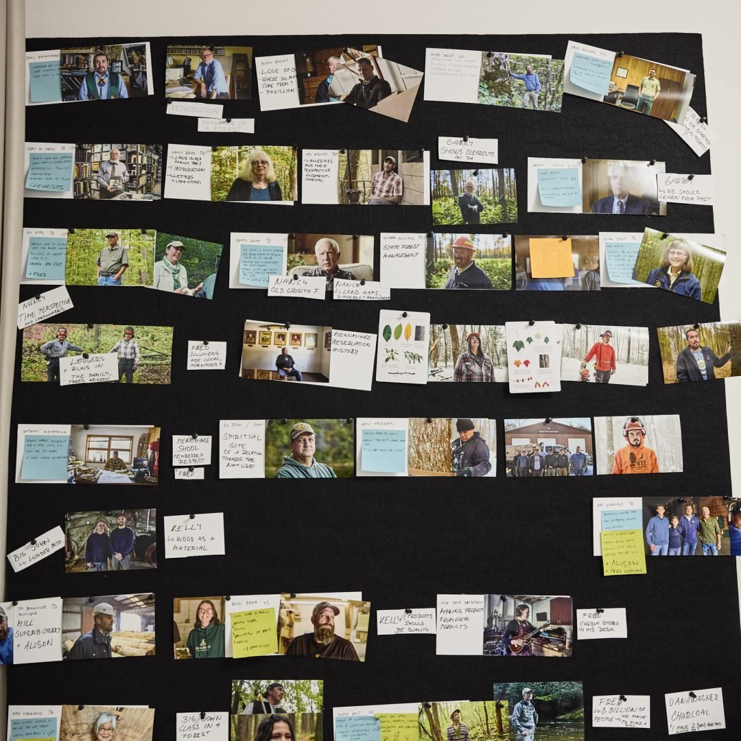 Image © Petr Krejčí