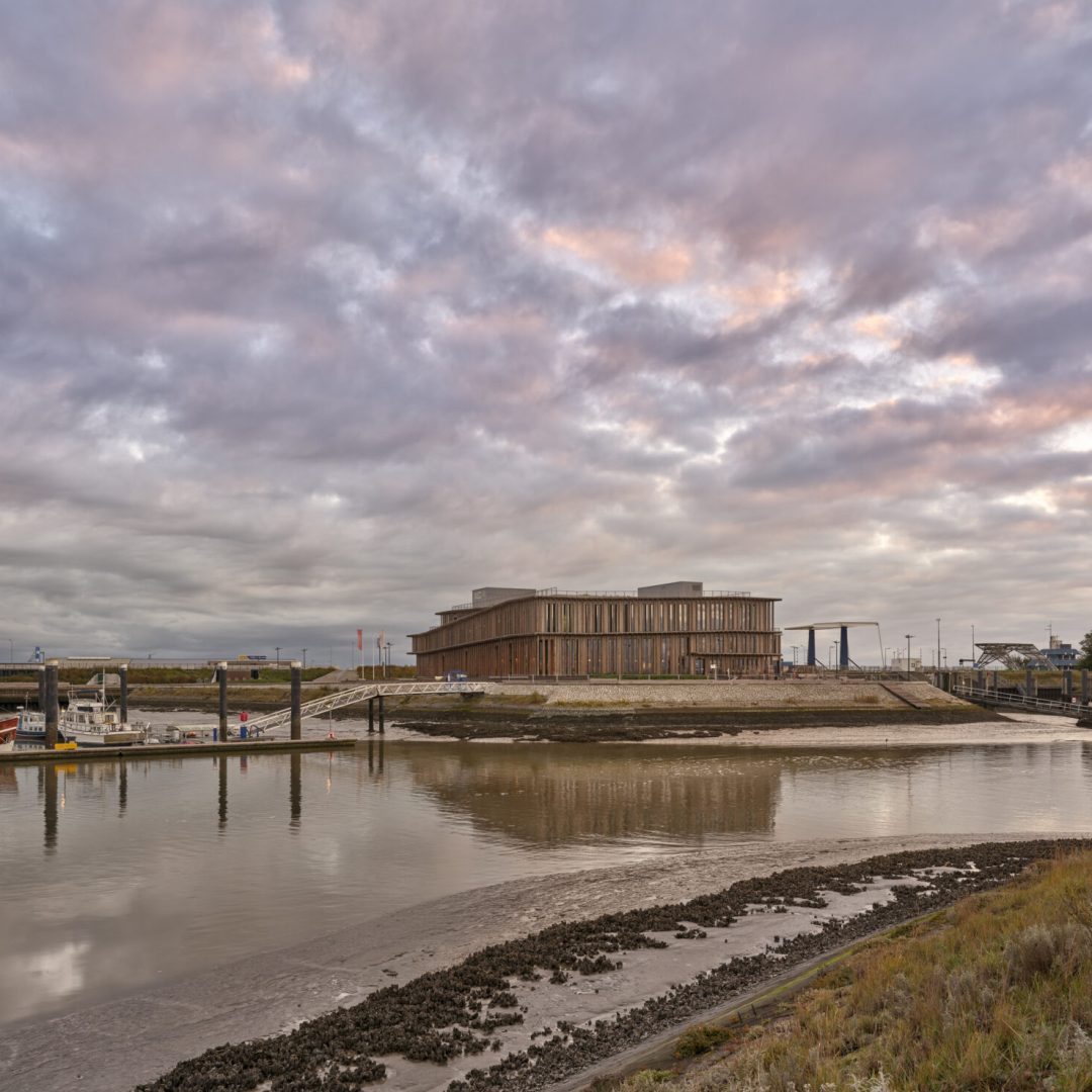 Images © Adam Mørk