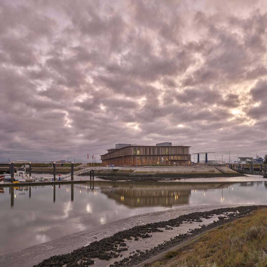 Images © Adam Mørk