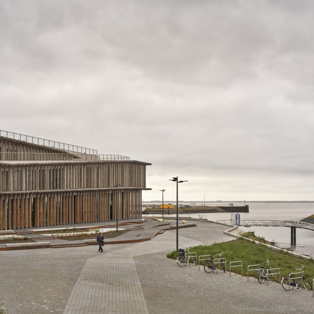 Images © Adam Mørk