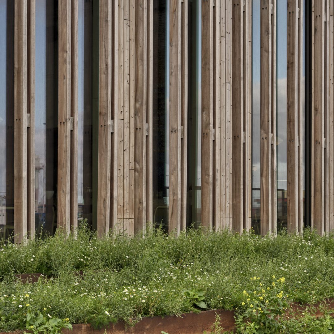 Images © Adam Mørk