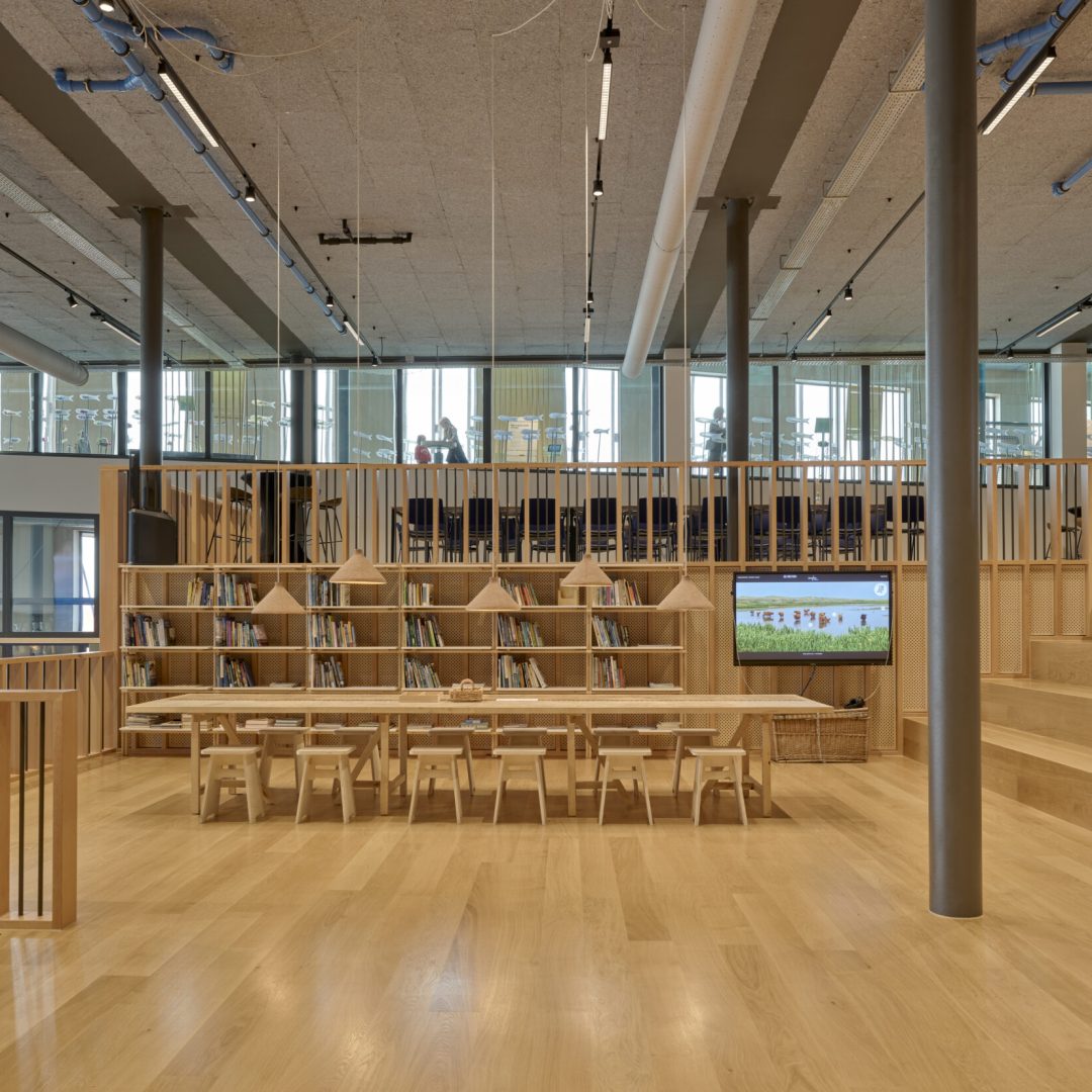 Images © Adam Mørk