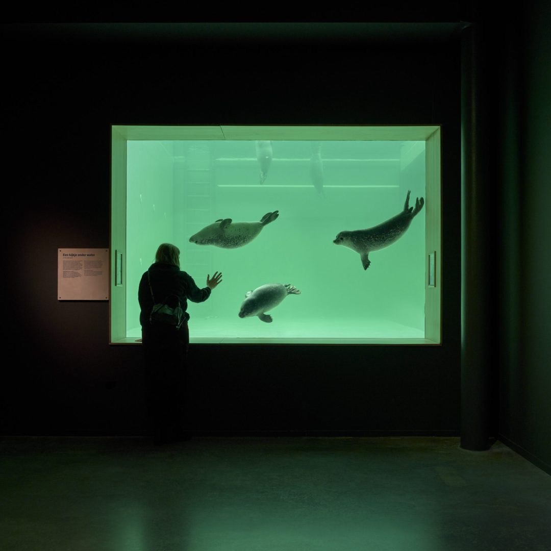 Images © Adam Mørk