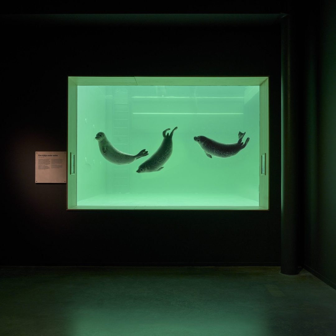 Images © Adam Mørk