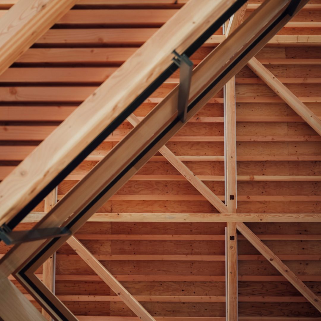 Images © Tatsuya Tabii