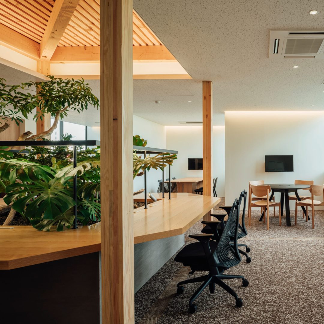 Images © Tatsuya Tabii