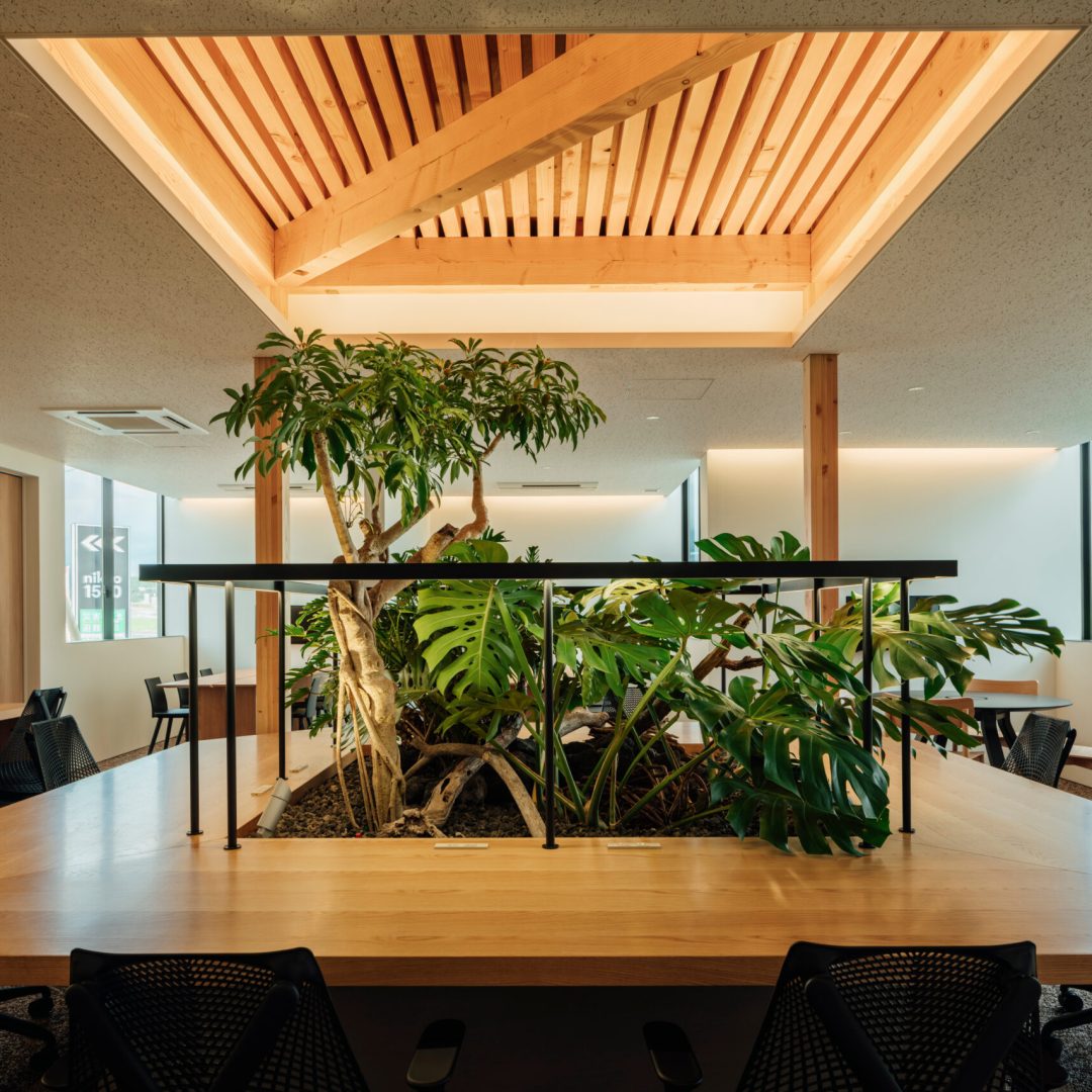 Images © Tatsuya Tabii