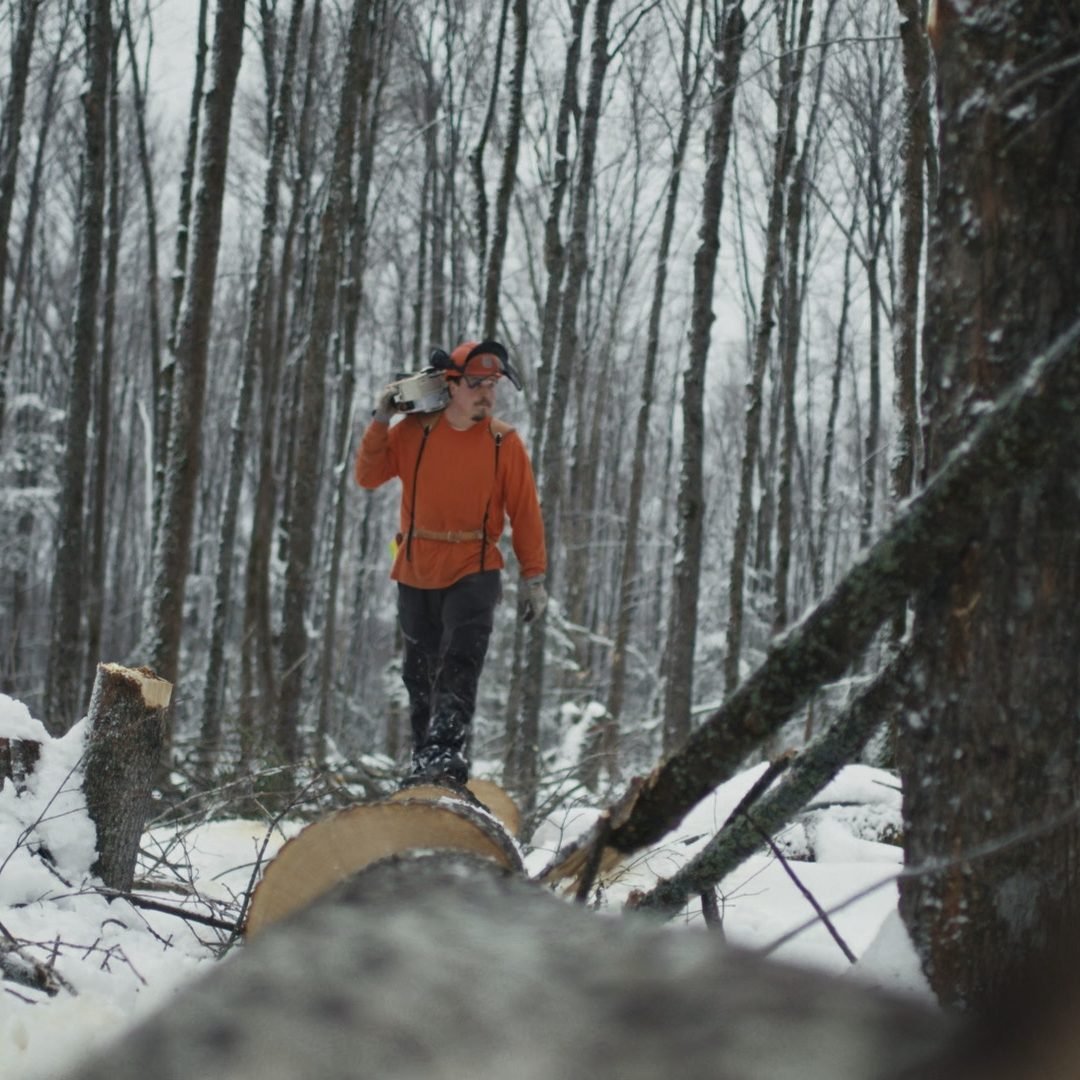 Image © Petr Krejčí