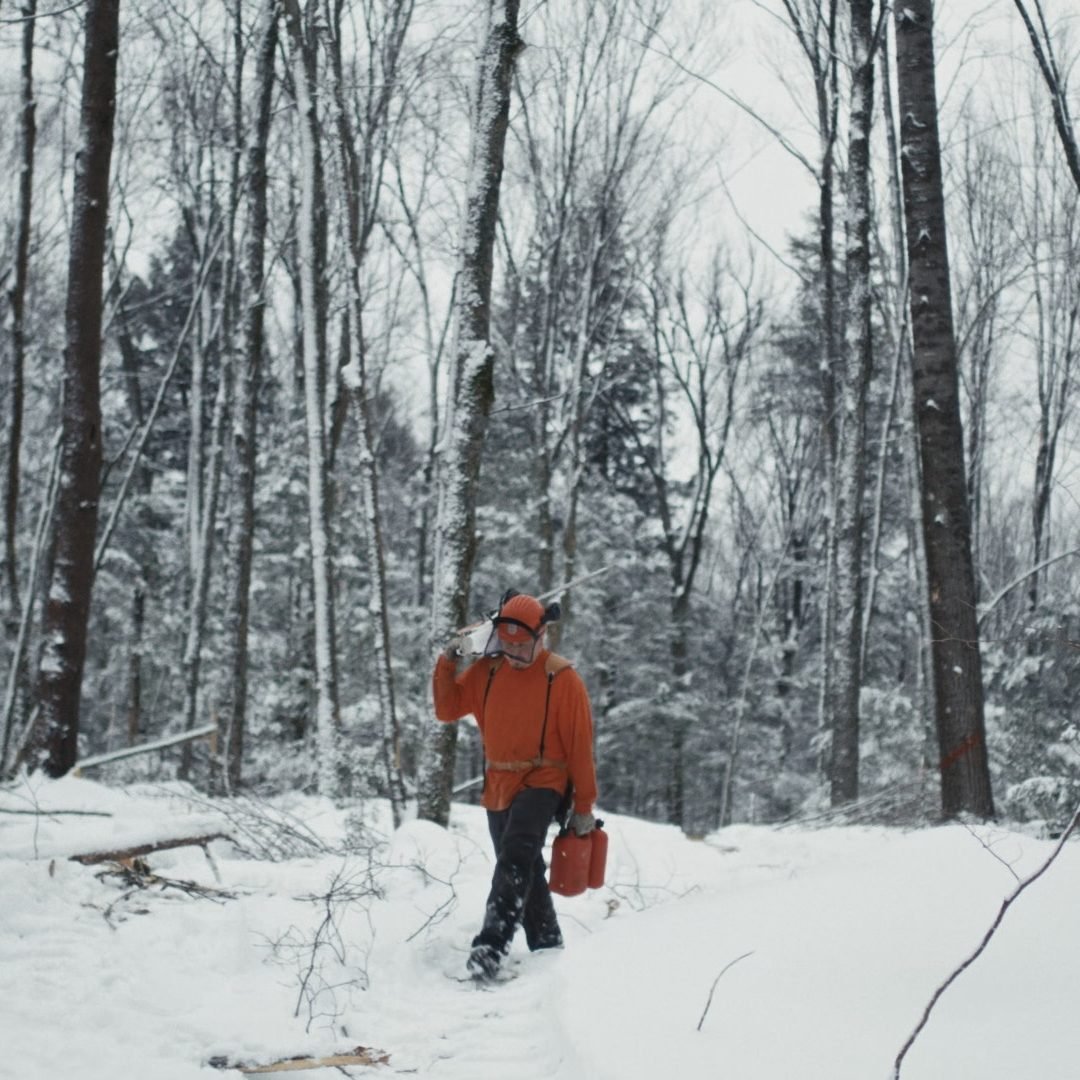 Image © Petr Krejčí