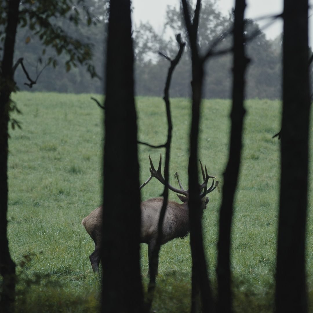 Image © Petr Krejčí