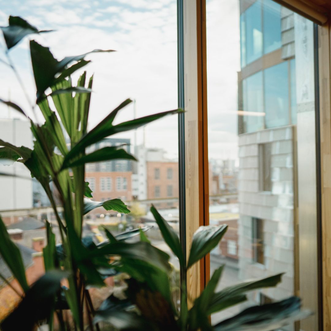 Images © Anders Nyman Wejse