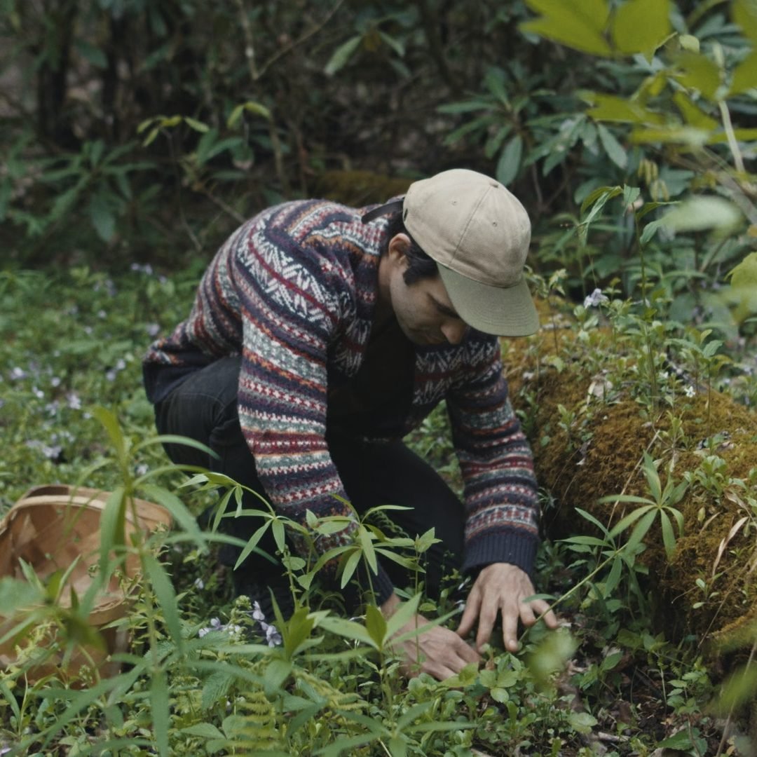 Image © Petr Krejčí