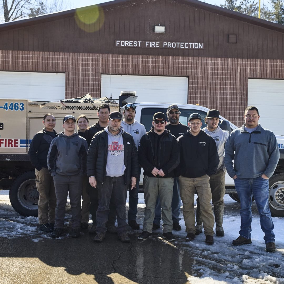 Image © Petr Krejčí