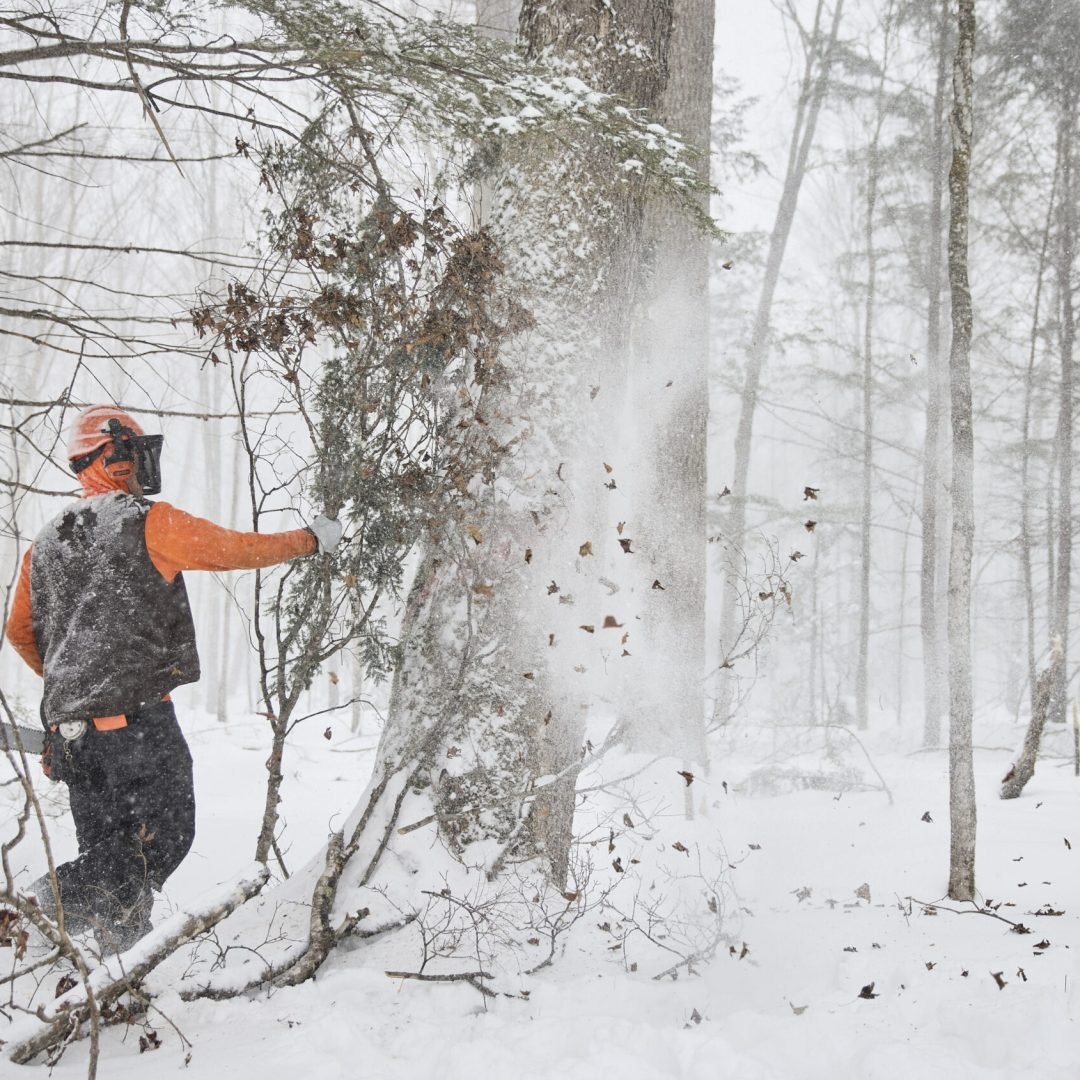 Image © Petr Krejčí