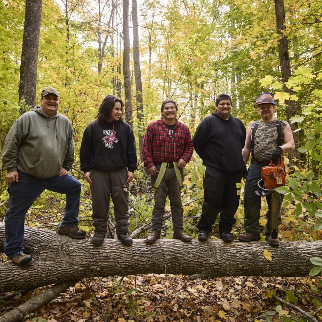 Image © Petr Krejci