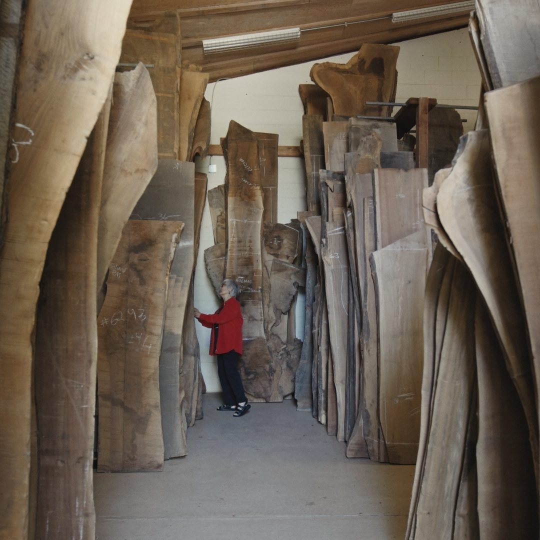 Image © Petr Krejčí