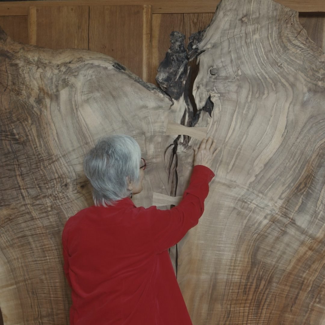 Image © Petr Krejčí