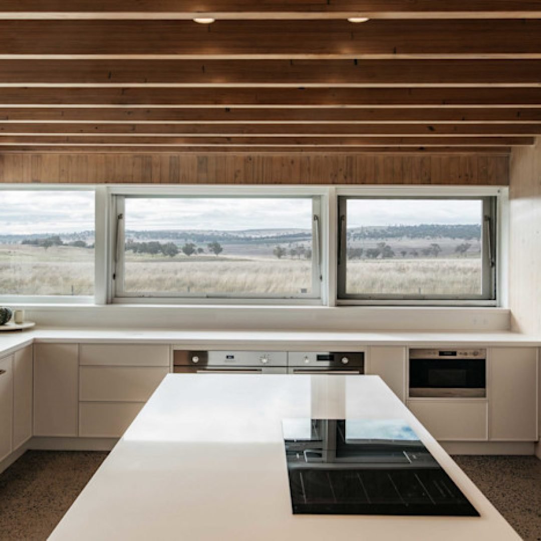 Images © Jessie Ann Harris