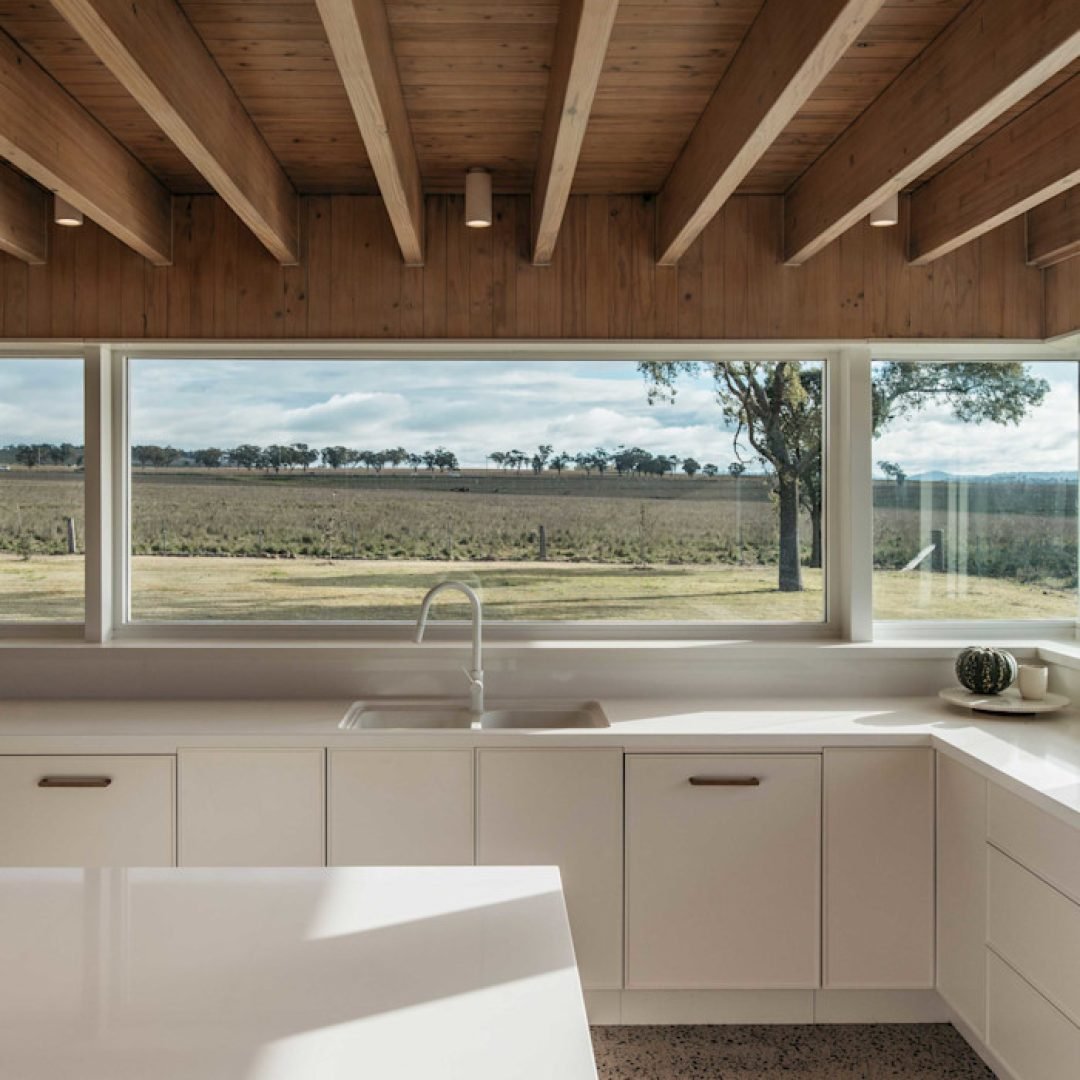 Images © Jessie Ann Harris