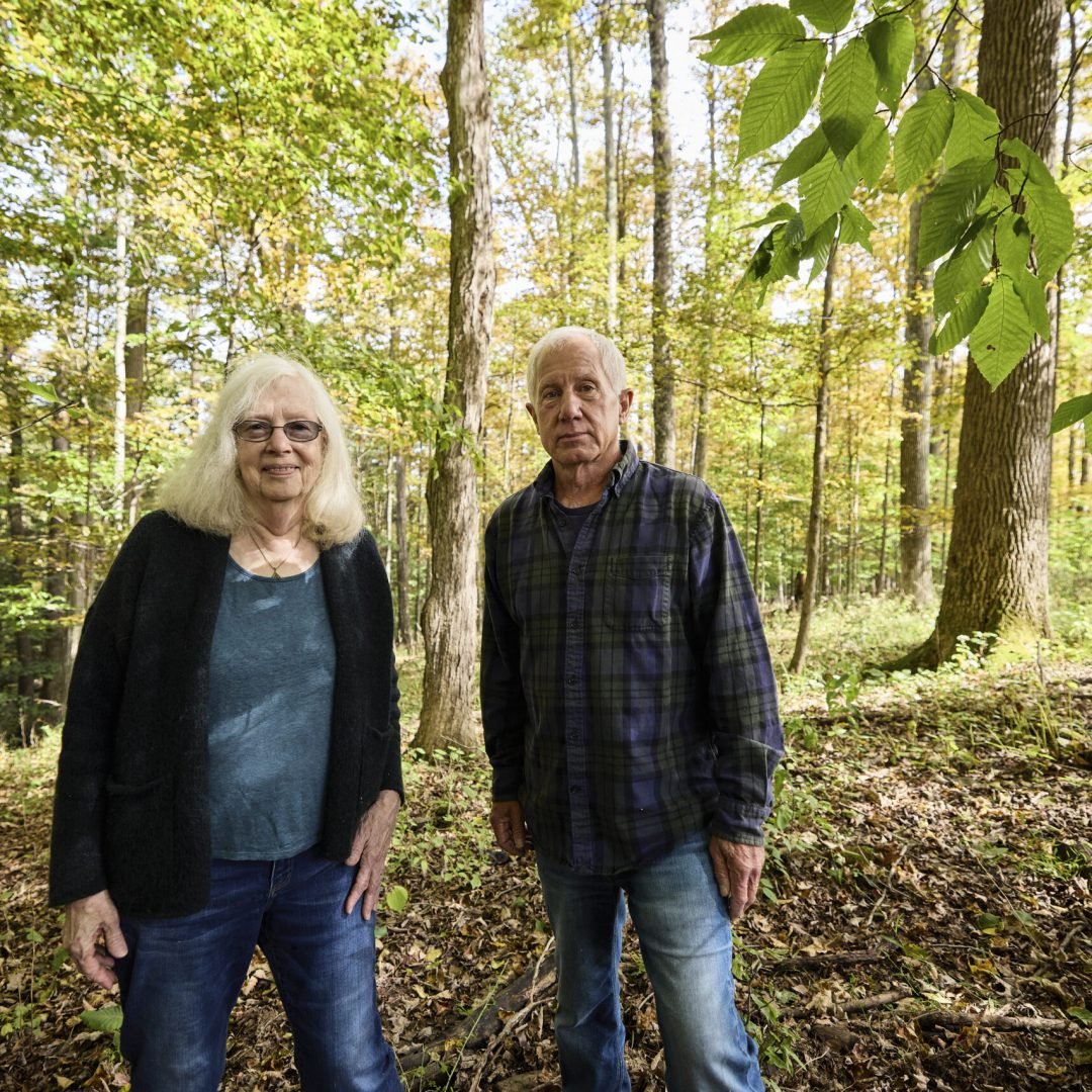 Image © Petr Krejčí