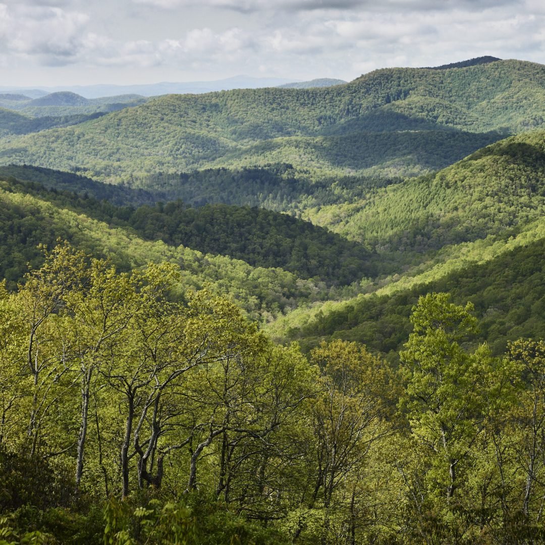 Image © Petr Krejčí