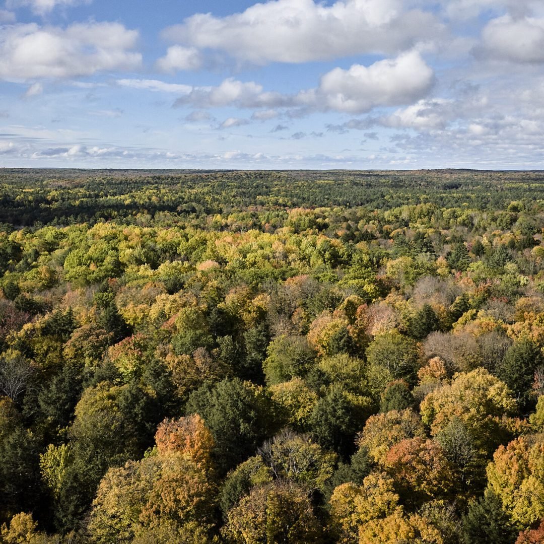 Image © Petr Krejčí