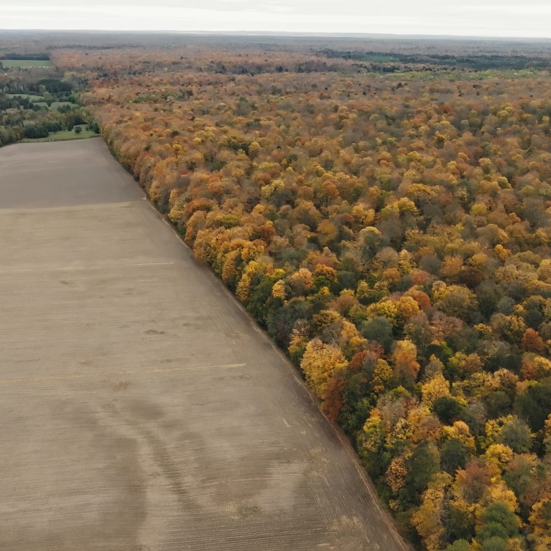 Image © Petr Krejčí