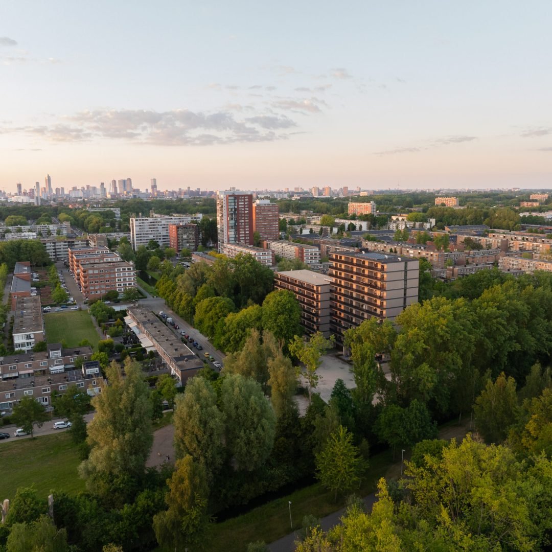 Images © Sebastian van Damme